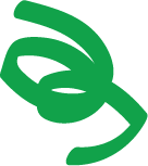 Immersive programs icon Camp Version