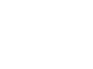 VisualIdentity Efflorescence 2026